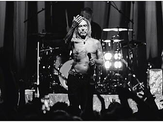 The Smithsonian: Iggy Pop